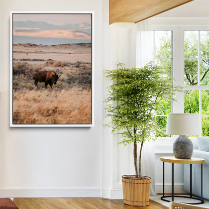 A solitary bison standing in golden prairie grass with distant mountains and soft sunset light, ideal for rustic, lodge, and western decor.