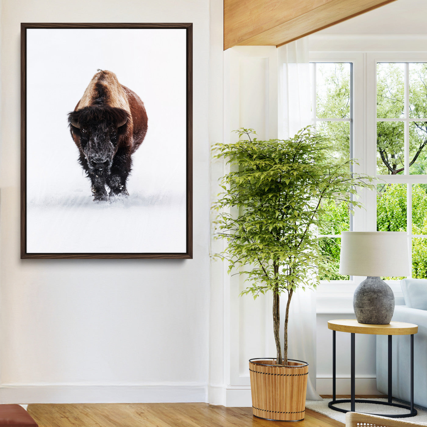 Front view of a strong bison walking in deep snow, isolated white background, perfect for rustic or lodge-style home decor.