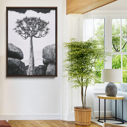 Tall desert tree in black and white, standing between large rocks, perfect for bold and minimalist nature-themed interior spaces.