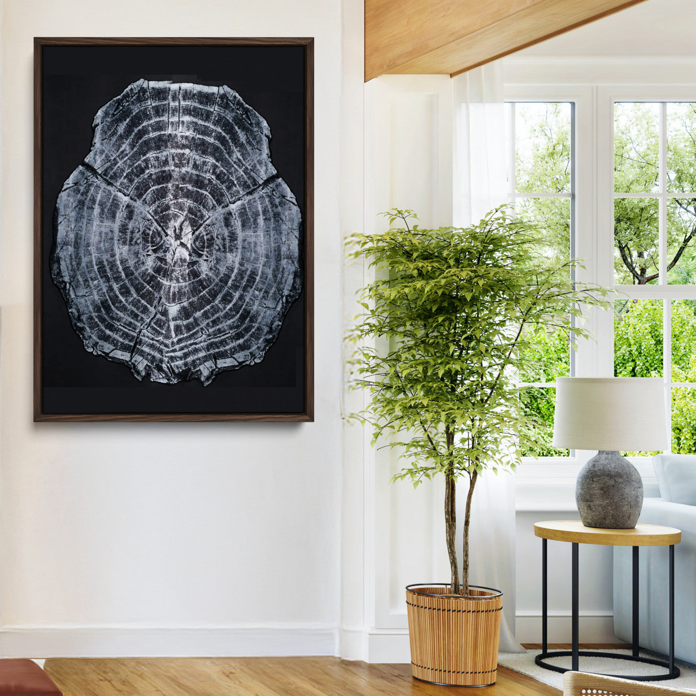 Monochrome tree ring cross-section on black background, showing detailed growth lines, perfect for modern rustic or minimalist interiors. (