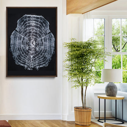 Monochrome tree ring cross-section on black background, showing detailed growth lines, perfect for modern rustic or minimalist interiors. (
