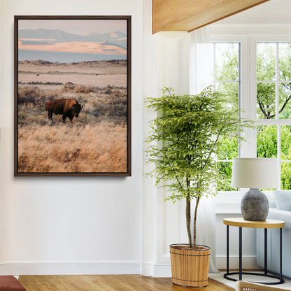 A solitary bison standing in golden prairie grass with distant mountains and soft sunset light, ideal for rustic, lodge, and western decor.