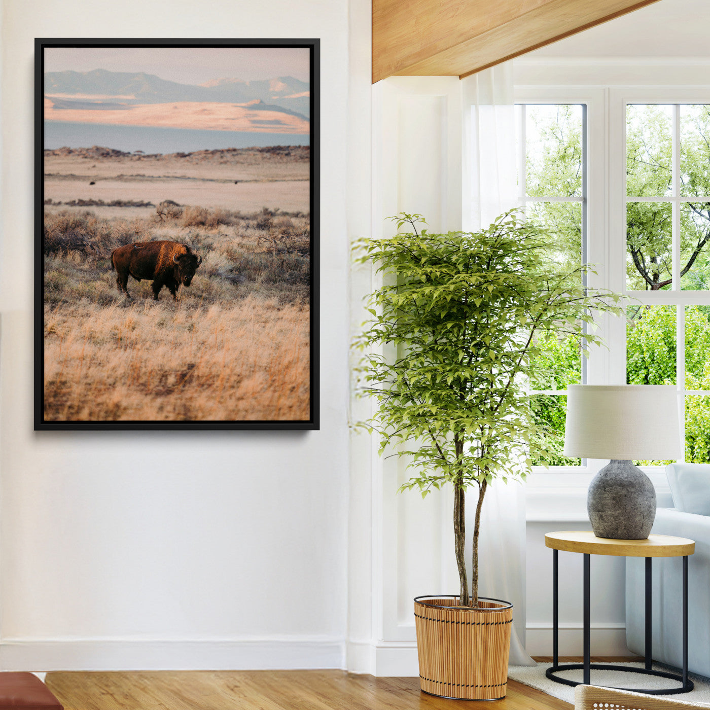 A solitary bison standing in golden prairie grass with distant mountains and soft sunset light, ideal for rustic, lodge, and western decor.