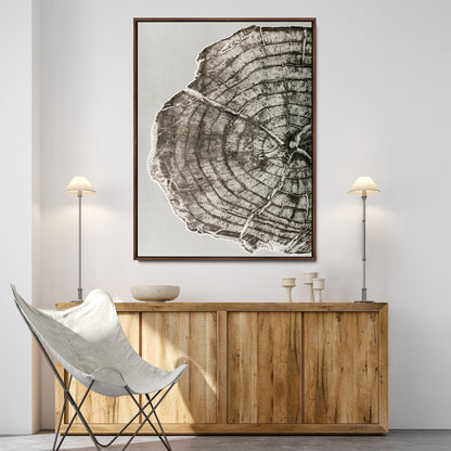 A close-up tree ring cross-section with neutral tones and organic texture, perfect for rustic, modern, or minimalist interior wall decor.