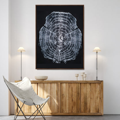 Monochrome tree ring cross-section on black background, showing detailed growth lines, perfect for modern rustic or minimalist interiors. (