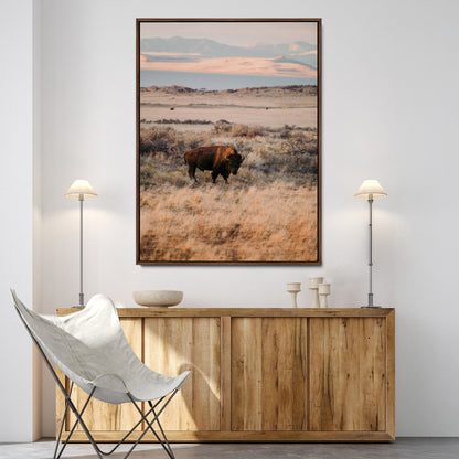 A solitary bison standing in golden prairie grass with distant mountains and soft sunset light, ideal for rustic, lodge, and western decor.