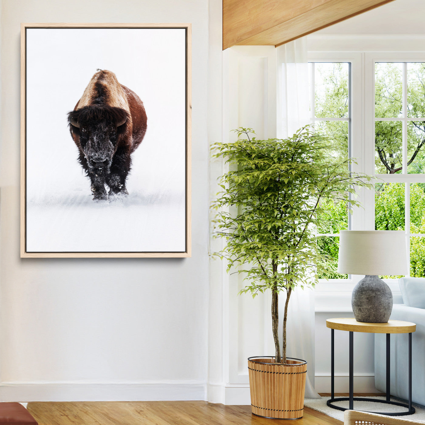 Front view of a strong bison walking in deep snow, isolated white background, perfect for rustic or lodge-style home decor.