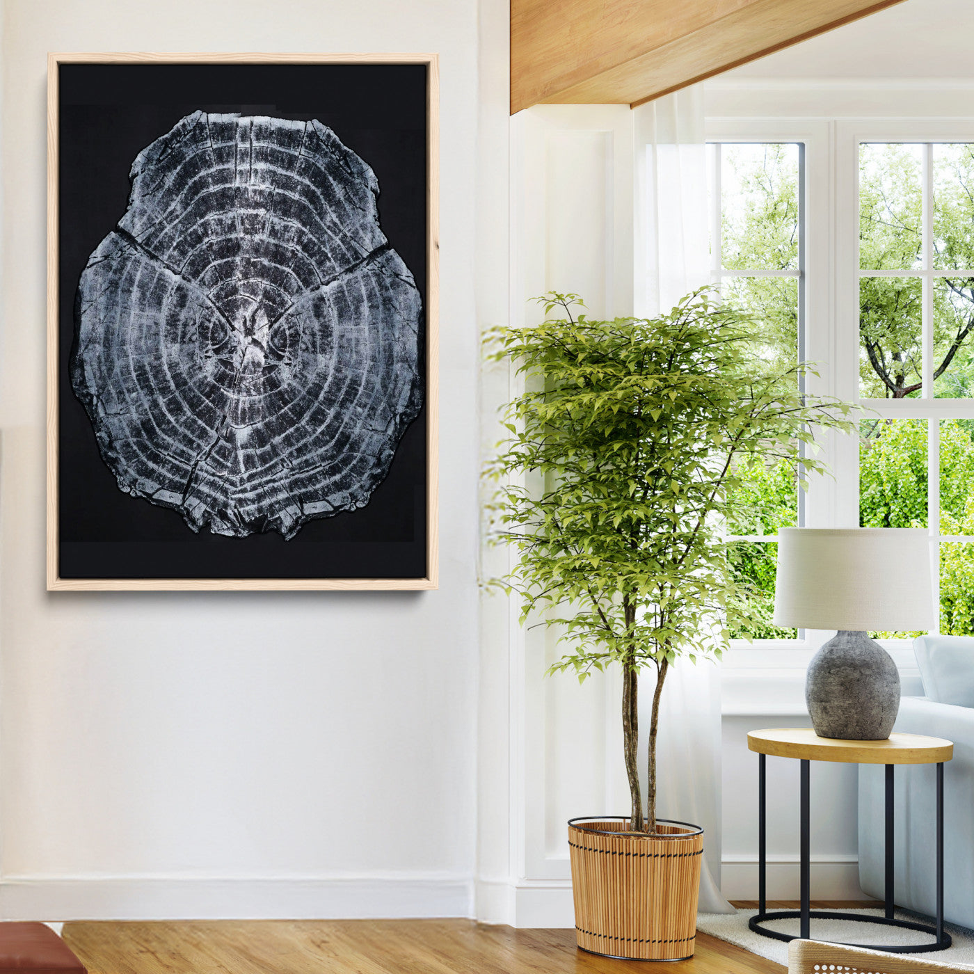 Monochrome tree ring cross-section on black background, showing detailed growth lines, perfect for modern rustic or minimalist interiors. (