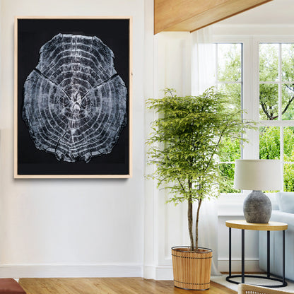 Monochrome tree ring cross-section on black background, showing detailed growth lines, perfect for modern rustic or minimalist interiors. (