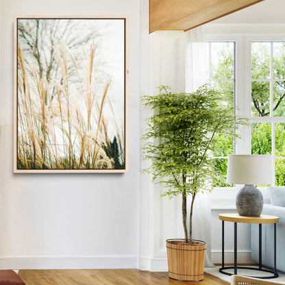 Soft beige pampas grass swaying in the breeze against a muted sky, creating a tranquil and minimalist botanical aesthetic.