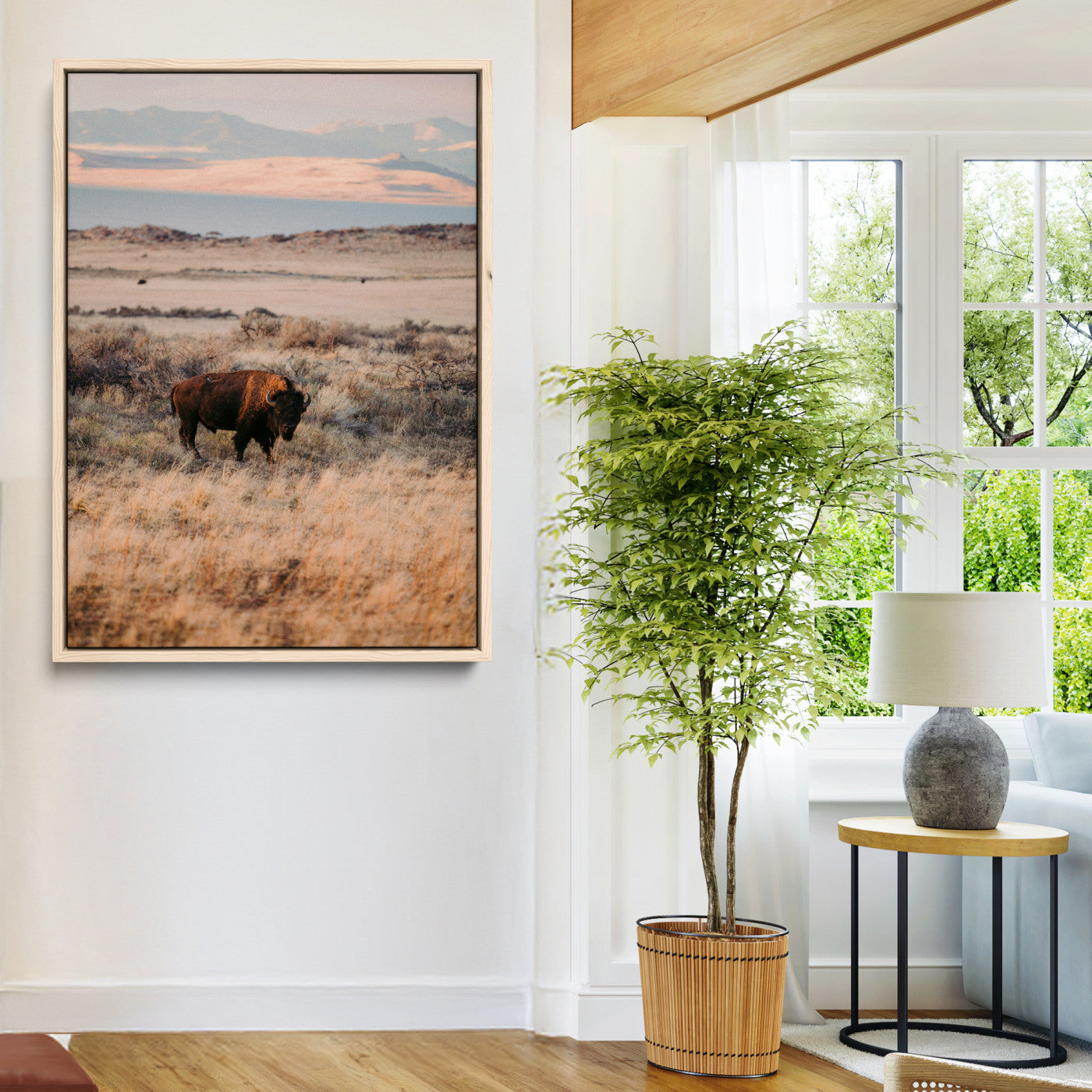 A solitary bison standing in golden prairie grass with distant mountains and soft sunset light, ideal for rustic, lodge, and western decor.