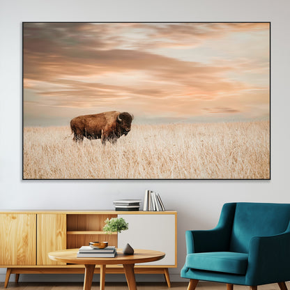 Bison Wall Art Print - Buffalo Canvas Print, featuring a lone bison in a golden prairie under a warm sunset sky, perfect for rustic and farmhouse decor.