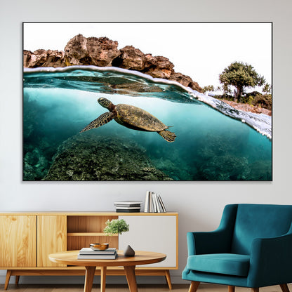 Dynamic split-view photo of a sea turtle swimming near rocky shores, perfect for vibrant coastal or tropical beach home decor.