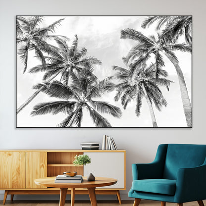 Black and white tropical palm trees viewed from below, swaying gently against a bright sky, creating a serene and elegant coastal atmosphere.