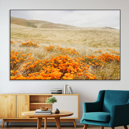 A golden field with vibrant orange poppies blooming across rolling hills under a soft, sunlit sky, creating a warm and rustic landscape.