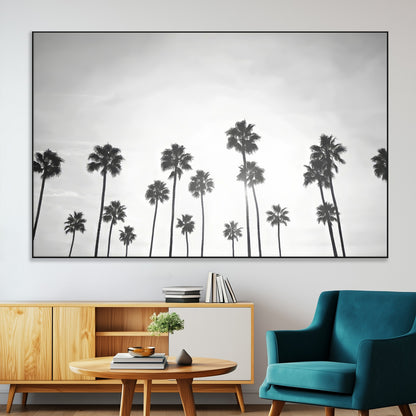 A black and white minimalist scene featuring tall palm trees silhouetted against a bright sky, creating a dreamy and timeless tropical aesthetic.