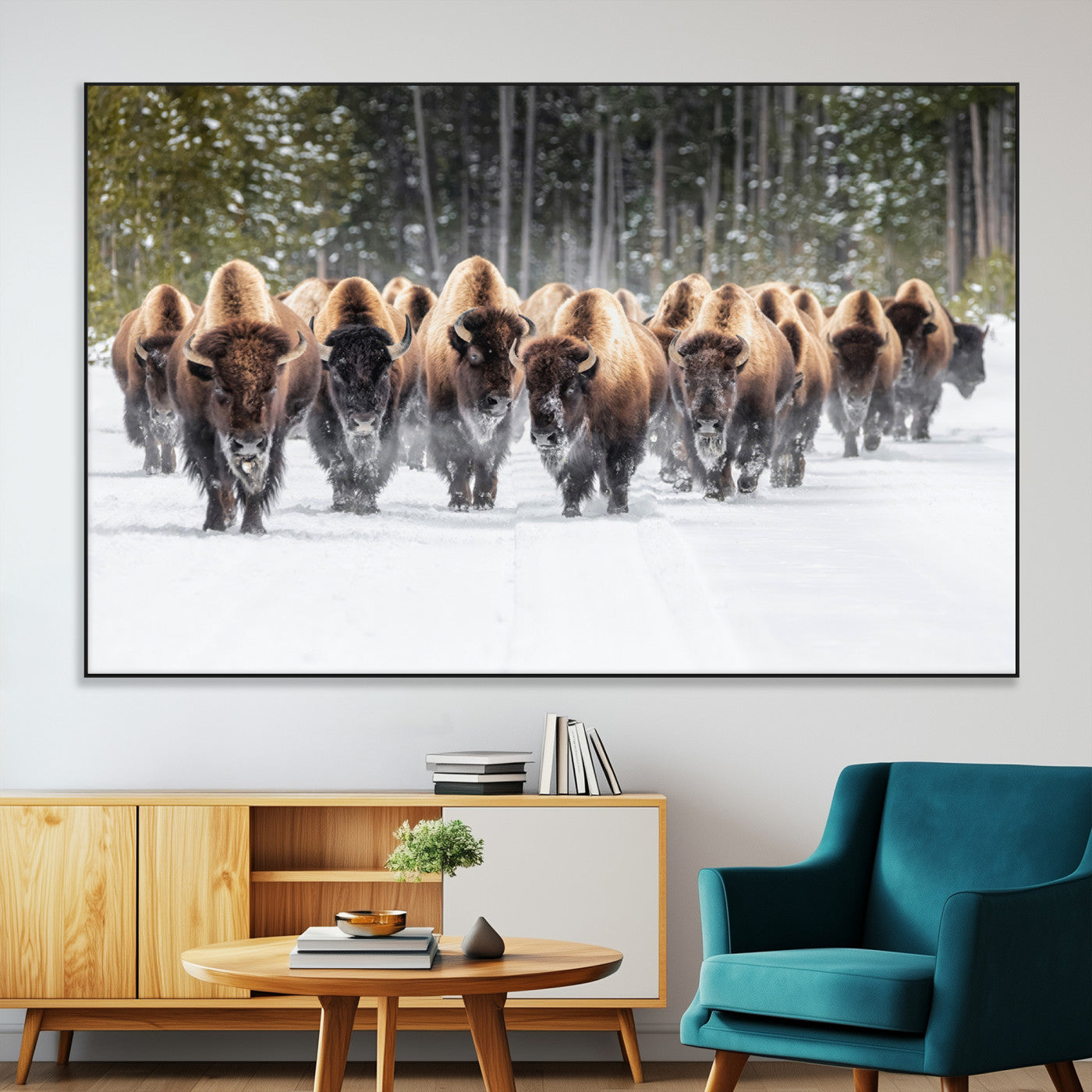 A herd of American bisons walking through a snowy forest path, perfect for rustic cabin or Western-themed wall decor.