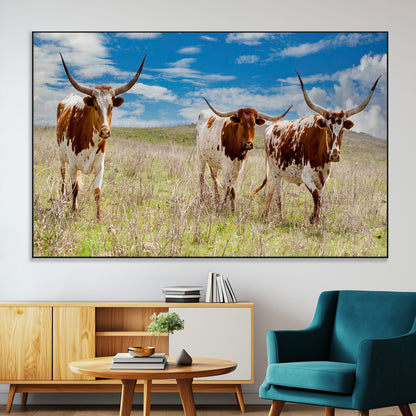 Three Texas longhorn cattle standing in dry grass under a bright blue sky, ideal for farmhouse or western rustic home decor.