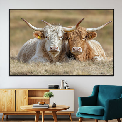 Two cows laying closely in a dry grassy field, captured in soft light, perfect for rustic farmhouse or western style home decor.