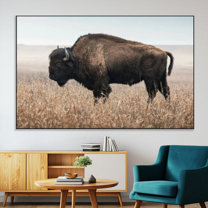 A lone bison stands in a vast prairie under a soft sky, evoking freedom and rustic charm for western or farmhouse inspired interiors.