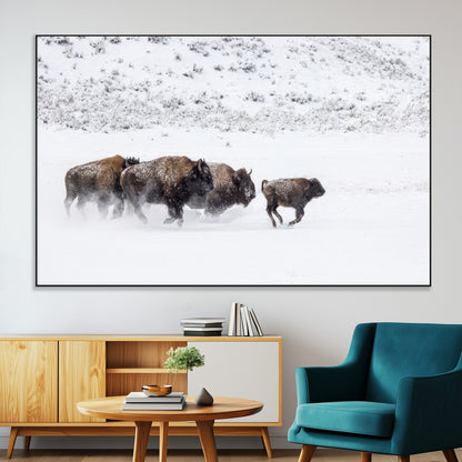 Bison herd running through a snowy open field with mountain backdrop, perfect for rustic or western-themed wall decoration.
