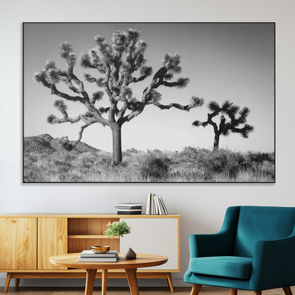 Black and white Joshua trees in a rugged desert landscape, creating a calm and minimalist feel for natural or rustic-themed interiors.