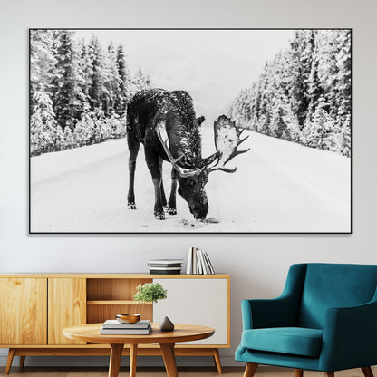 A majestic moose grazing in the snow-covered wilderness, surrounded by snow-covered trees, creating a peaceful winter scene.