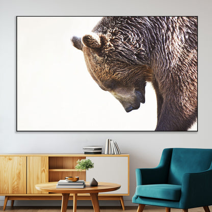 Majestic Bear Portrait - Capture the raw beauty of a bear in a detailed close-up, perfect for your Wall Art Canvas Print collection