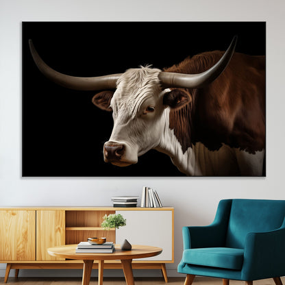 "Close-up of a brown and white longhorn cow with prominent curved horns against a black background."