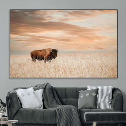 Bison Wall Art Print - Buffalo Canvas Print, featuring a lone bison in a golden prairie under a warm sunset sky, perfect for rustic and farmhouse decor.