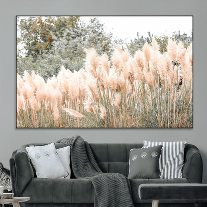 Soft pastel pampas grasses in a natural setting, ideal for neutral boho or rustic botanical-style interior wall decoration.