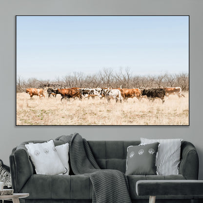 Framed wall art of Texas longhorn cattle walking through a dry, neutral-toned prairie, perfect for rustic farmhouse or western-themed home decor.
