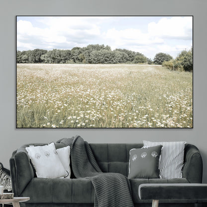 Soft-toned image of a wild daisy field under a cloudy sky, ideal for neutral or Scandinavian-inspired home decor.