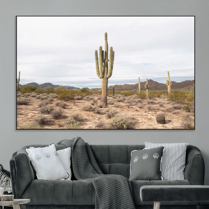 Canvas of a saguaro cactus in an earthy Sonoran desert landscape, ideal for Southwestern Boho or desert minimalism inspired home decor.   2/2