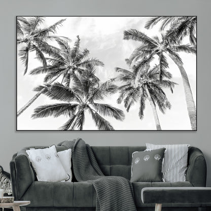 Black and white tropical palm trees viewed from below, swaying gently against a bright sky, creating a serene and elegant coastal atmosphere.