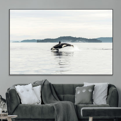 An orca jumping out of calm ocean waters with a misty island in the background, creating a serene and minimalist marine wildlife scene.