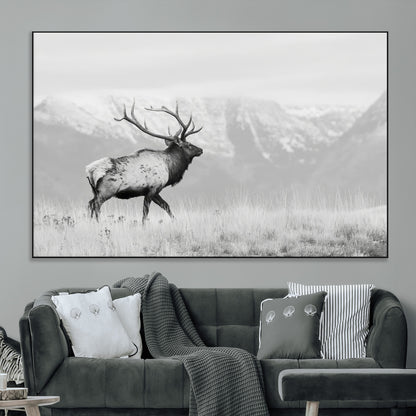Black and white photograph of a majestic elk standing in a grassy field with snow-capped mountains in the background, creating a bold and rustic wilderness scene.