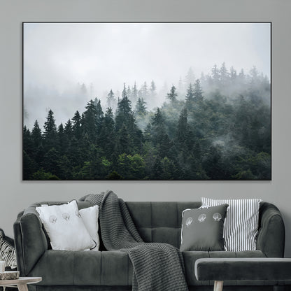A misty evergreen forest shrouded in soft fog, creating a tranquil and moody landscape with lush green trees fading into the distance.