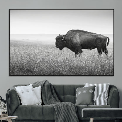 A black and white photograph of a majestic bison standing in a vast grassy prairie, evoking a sense of wilderness and strength.