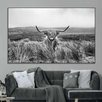 A black and white portrait of a Highland cow in a foggy Scottish countryside, capturing a rustic aesthetic and tranquil farm escape.