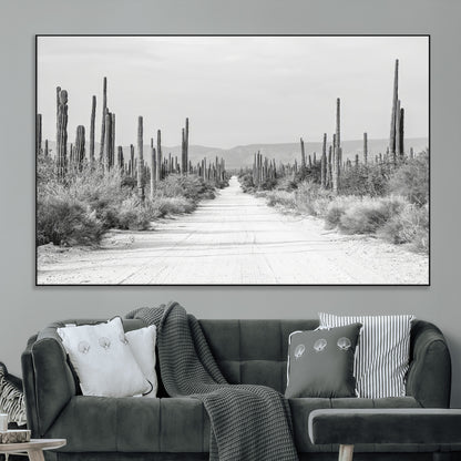 A black and white desert road stretching through a cactus-filled landscape, creating a rugged and timeless southwestern aesthetic with a sense of adventure.