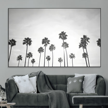 A black and white minimalist scene featuring tall palm trees silhouetted against a bright sky, creating a dreamy and timeless tropical aesthetic.
