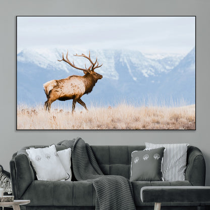 An elk walking on snowy grassland with majestic mountains in the background, ideal for rustic lodge or cabin wall decor.