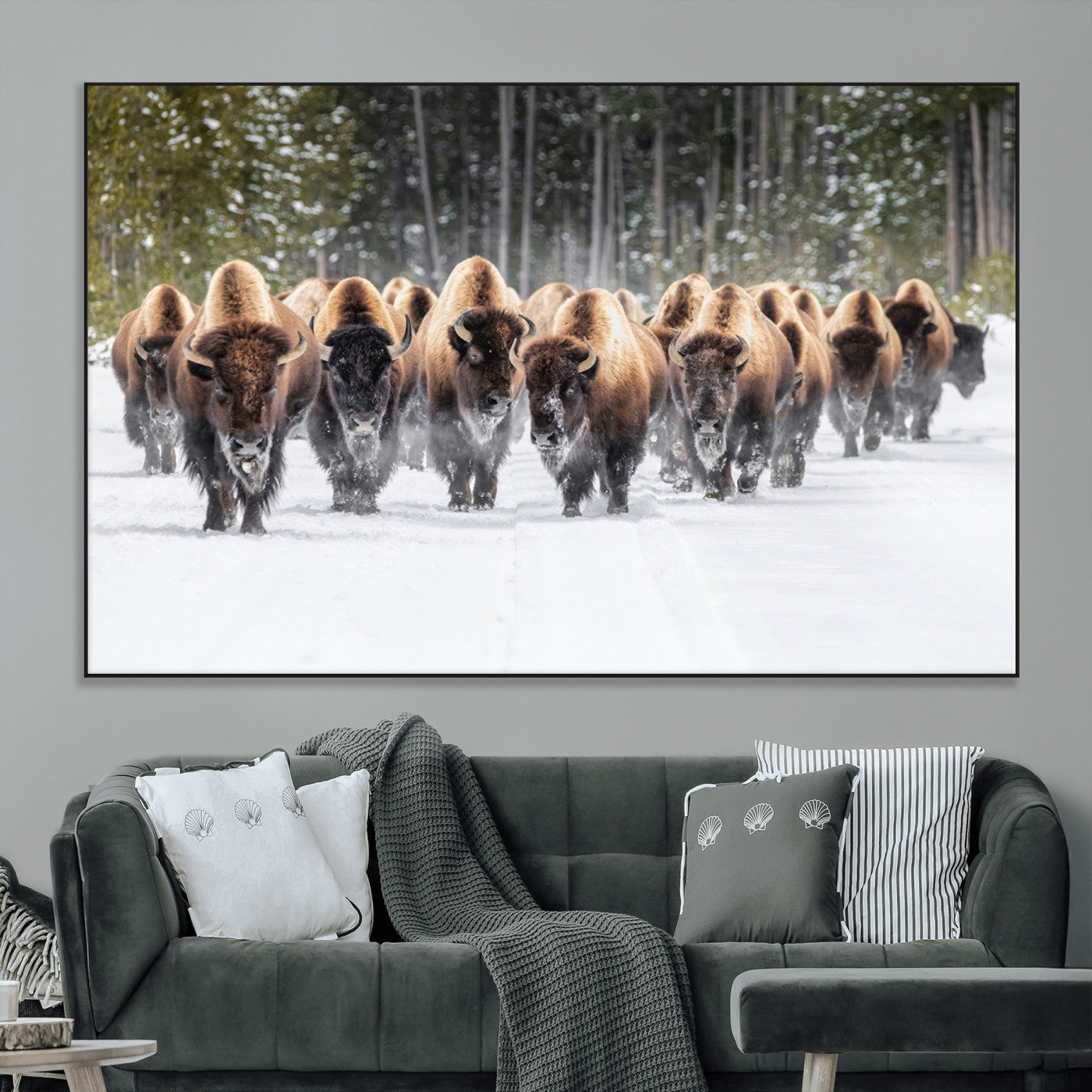 A herd of American bisons walking through a snowy forest path, perfect for rustic cabin or Western-themed wall decor.