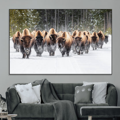 A herd of American bisons walking through a snowy forest path, perfect for rustic cabin or Western-themed wall decor.