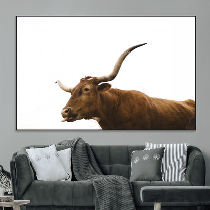 Minimal photo of a longhorn cow with white background, ideal for rustic, western or farmhouse-style interior decor.