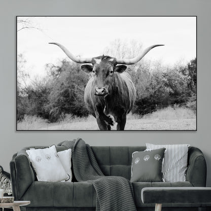 Black and white photo of a longhorn cow in a field, perfect for rustic farmhouse or western-themed interior wall decoration.