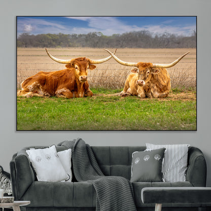 Two longhorn cows lying on green grass in front of a golden field and trees under a blue sky, perfect for rustic country wall decor.