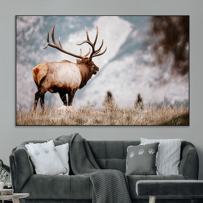 Majestic elk with large antlers standing in grass with snowy mountains in background, perfect for rustic cabin or lodge style decor.