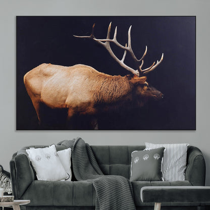 Side view of a majestic elk with large antlers against dark background, perfect for rustic lodge or cabin style home decoration.